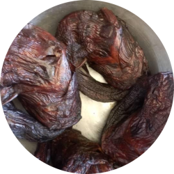 cropped_circle_image (2)