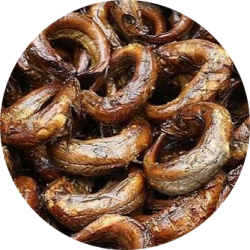 cropped_circle_image